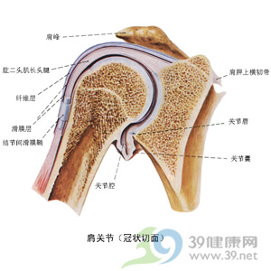 肩周炎的鑒別診斷