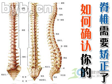 如何確認脊椎需要矯正