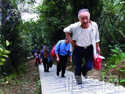 老人常爬山當心關節炎