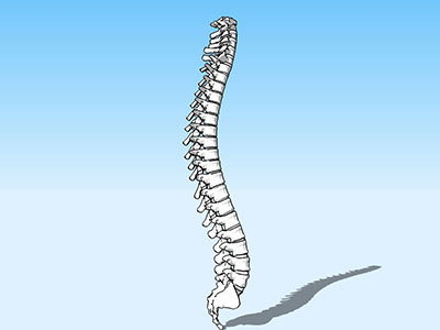 如何救助脊柱骨折傷者？