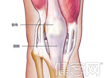 康復治療師如何在最恰當的時候來到骨折患者身旁？