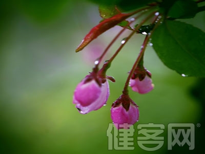 春雨綿綿 骨頭很受傷