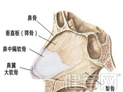 鼻骨骨折診斷與檢查方法