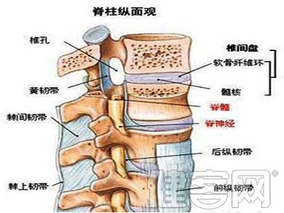 正確認識骨質增生和骨刺，衰老環節非病症