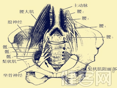 腰肌勞損的詳解介紹