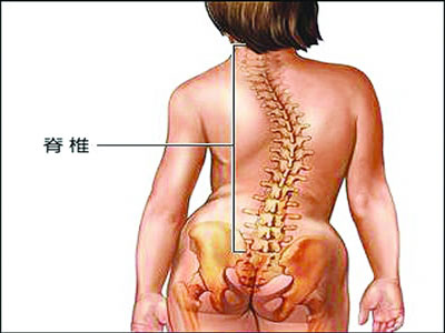 如何判斷腰椎間盤突出症狀