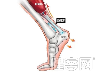 劉翔因傷退役，跟腱斷裂到底有多嚴重