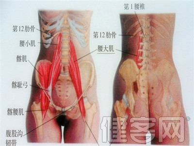 腰椎間盤突出症的症狀有哪些