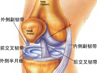 哪些原因導致膝關節有響聲