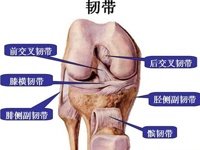 運動後膝關節疼痛 是韌帶拉傷嗎？