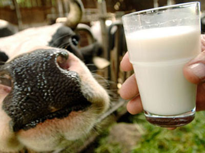 骨質疏松補鈣：一碗牛奶的鈣含量遠高於一碗骨頭湯