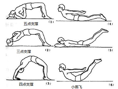 腰背痛？需要多鍛煉了