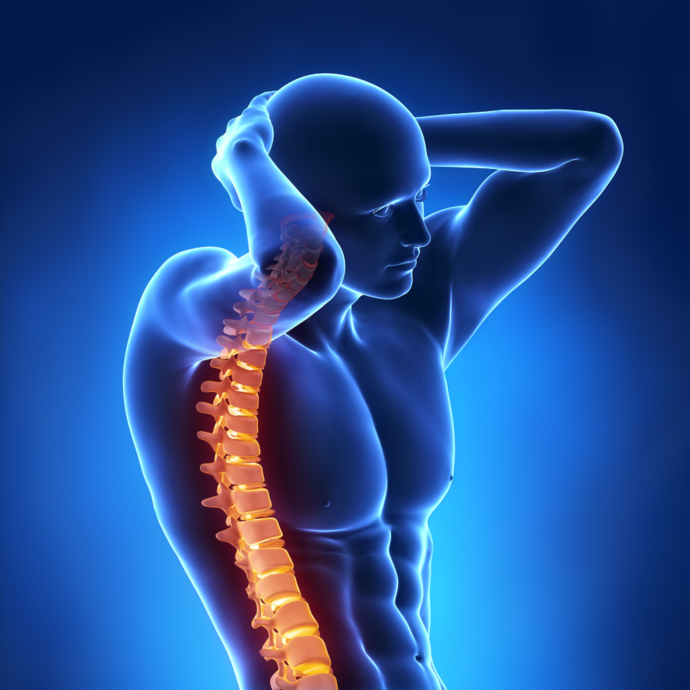 哪些小動作會傷害你的脊椎