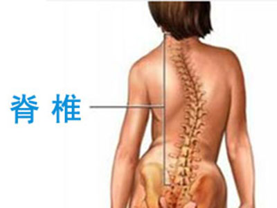 脊柱保養從正確姿勢開始