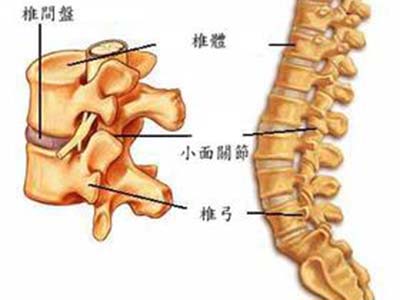 你的椎間盤還好嗎