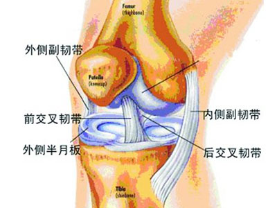 了解膝蓋是如何損傷的