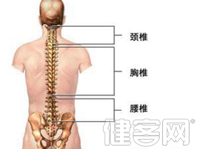 腰痛常見不良姿勢及其運動療法