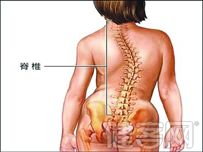 如何避免腰肌勞損