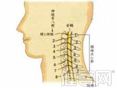 治療頸椎病的好方法