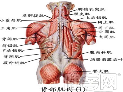 五大面，自我保健肩周炎