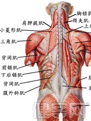 肩周炎有什麼症狀呢,怎麼預防肩周炎?