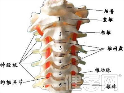 頸椎病呈年輕化趨勢 如何護好脊柱