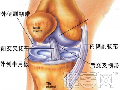 膝關節半月板損傷該如何預防