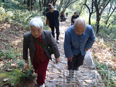 膝關節疼痛多是關節炎 老年人應減少爬山