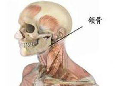 颌骨骨折的復位和固定方法有哪些？
