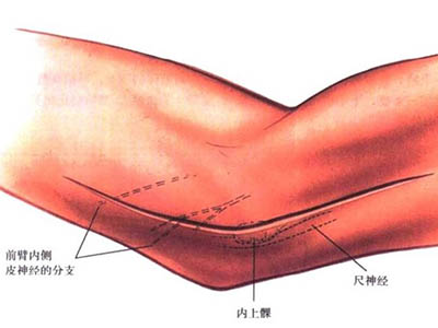 JOT：冠狀突骨折，手術治療要點