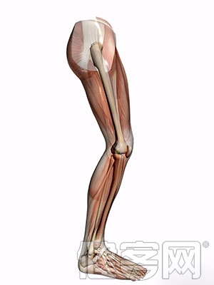 前交叉韌帶重建術影響下肢穩定性