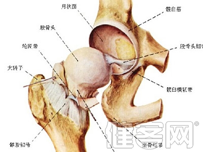 川芎山柰陳醋減輕骨質增生