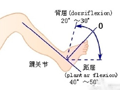 踝關節術後早期關節活動度和肌肉力量練習方法