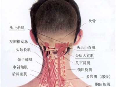 骨折之後可以吃白藥