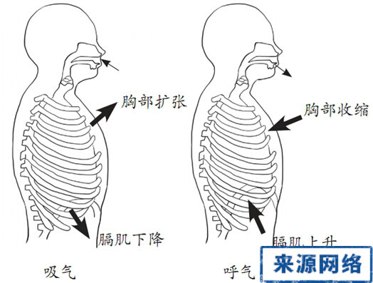 如何做呼吸練習 呼吸練習 正確的呼吸習慣