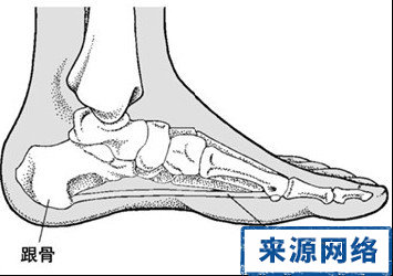 足跟骨質增生 哪些中醫驗方可治療足跟骨質增生 用藥有哪些注意事項