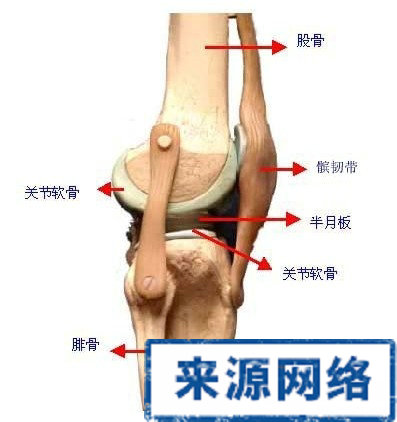 膝關節痛 骨質增生 治療 藥物