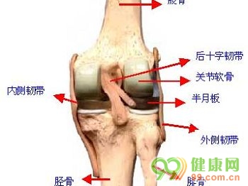膝關節 骨質增生 骨質增生的原因 骨關節病 骨折